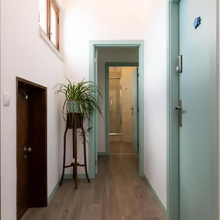 Arrifana Pines Casa de hóspedes *